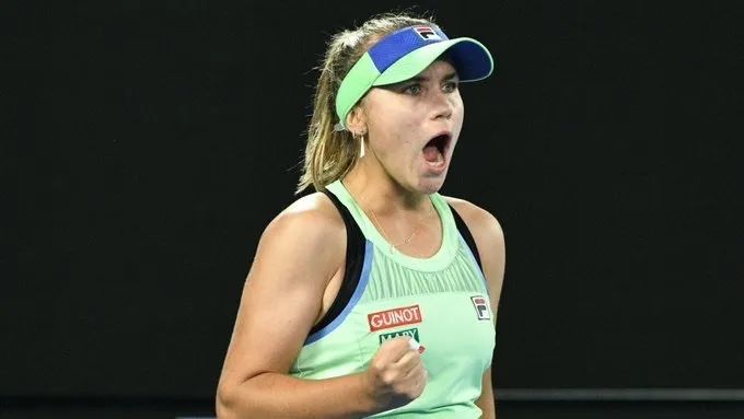 韧性与调整 韧性与调整